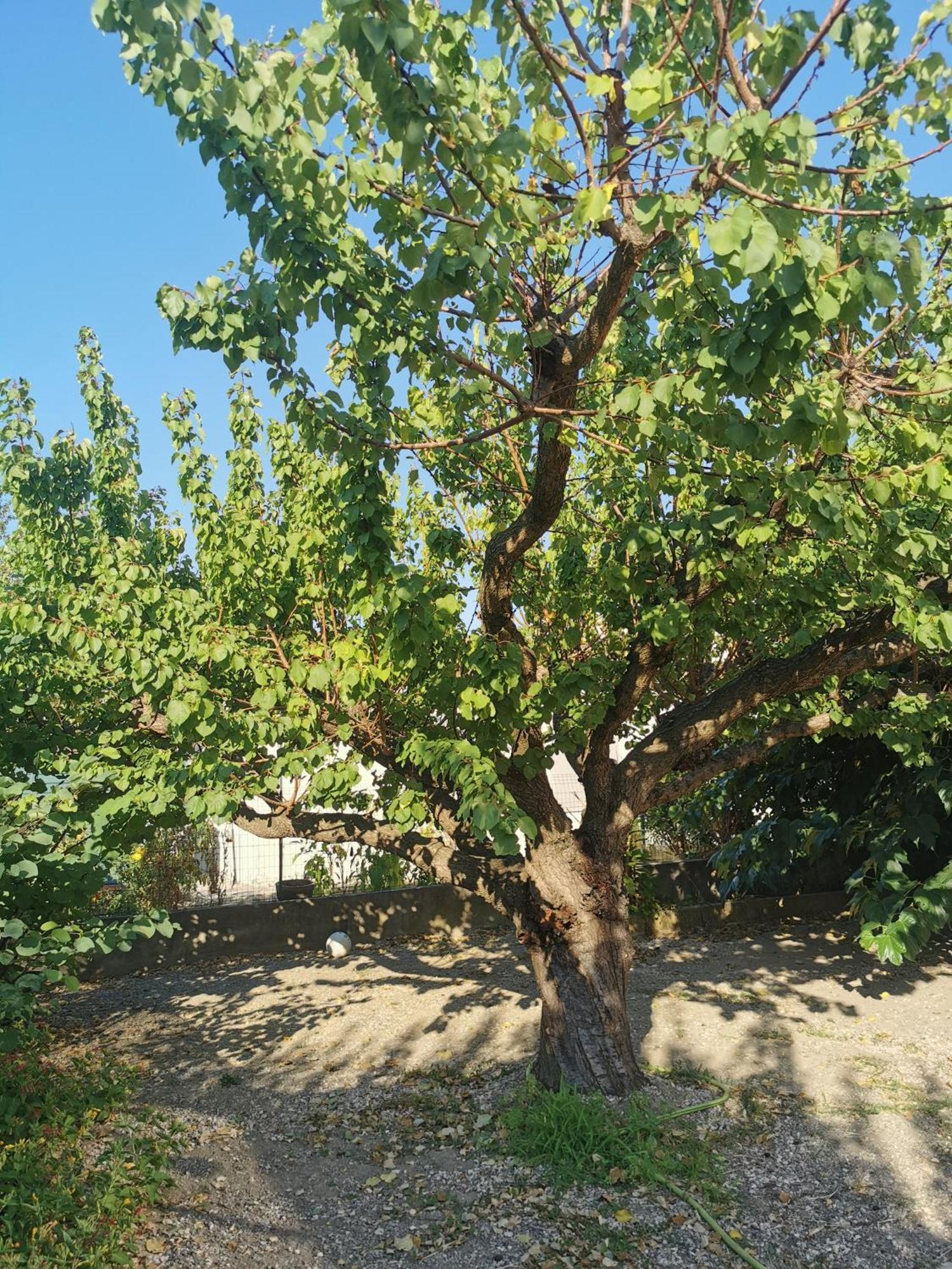Villa Dans Le Sud 吕内尔 外观 照片